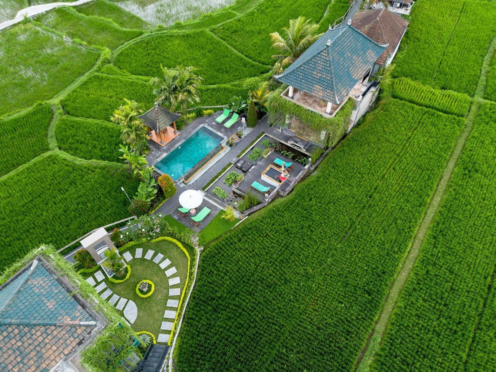 Cahaya Ubud Villa Zewnętrze zdjęcie