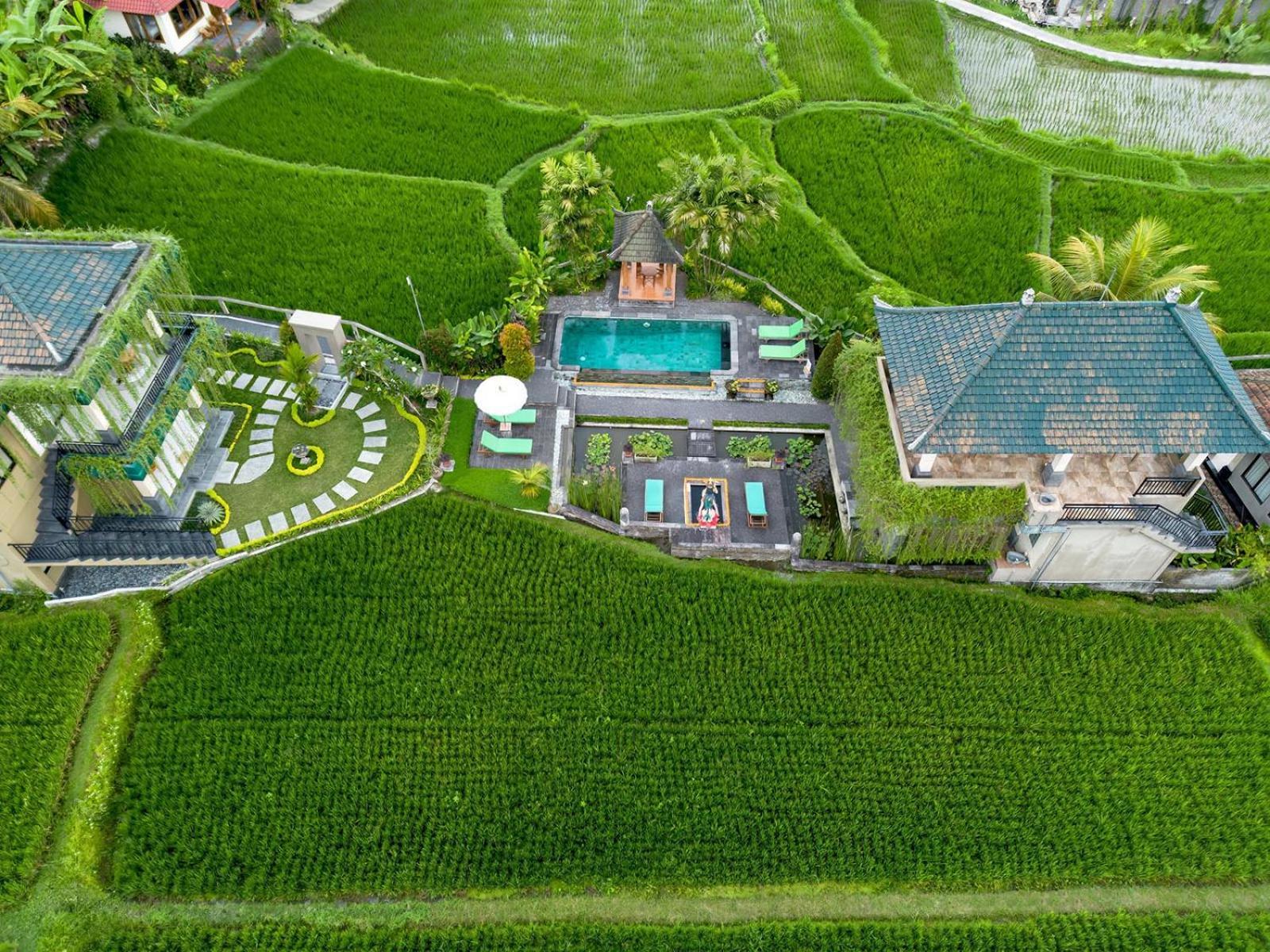 Cahaya Ubud Villa Zewnętrze zdjęcie