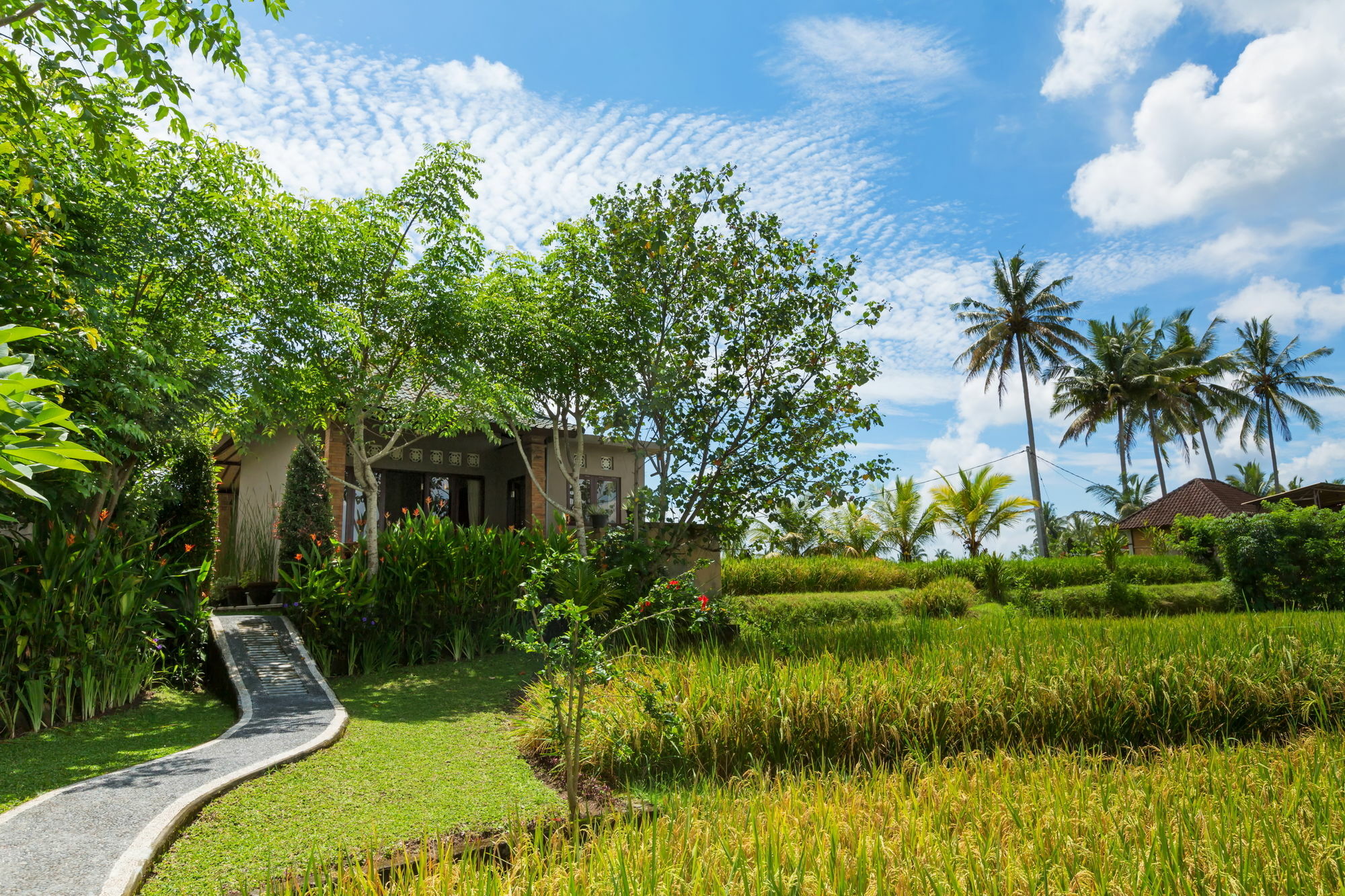 Cahaya Ubud Villa Zewnętrze zdjęcie